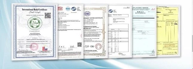 Notoginseng Extract Powder