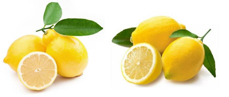 Limonin from Citrus limon Extract