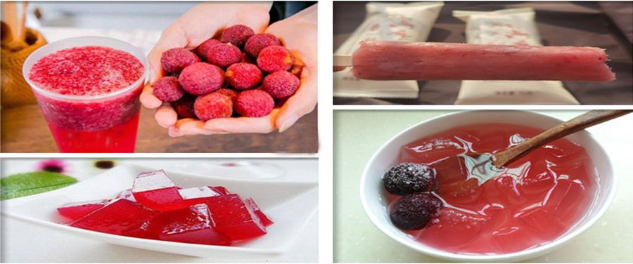 Bayberry Fruit Powder