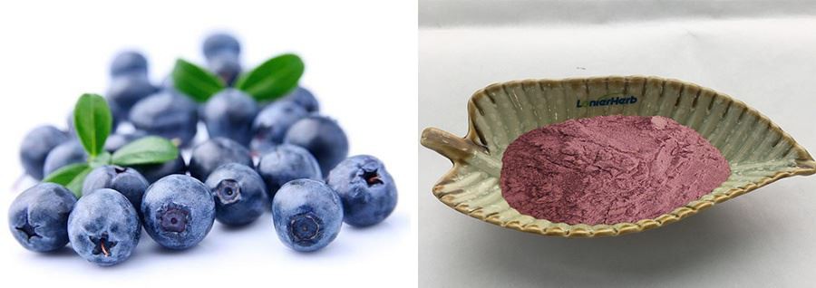 Acai Berry Powder