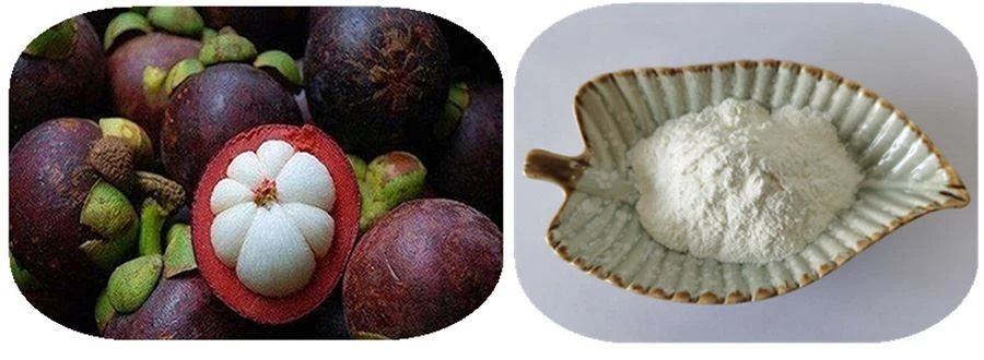 Mangosteen Juice Powder