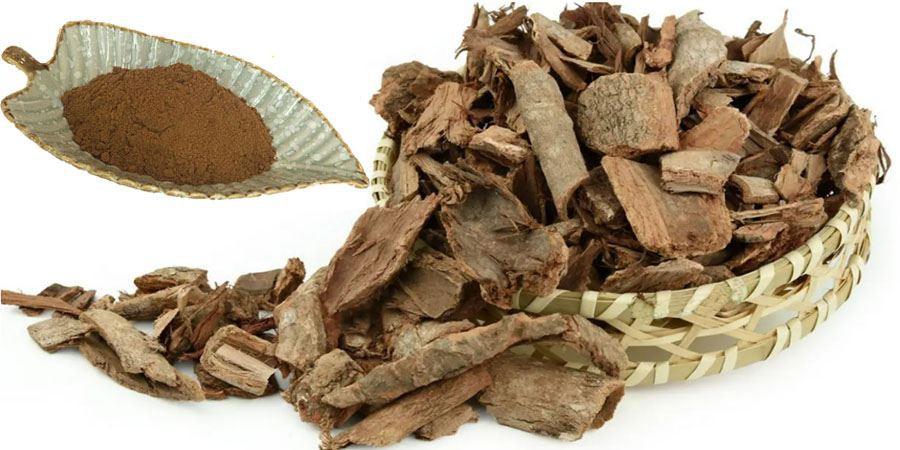Golden Larch Bark Extract Golden Larch Bark Extract