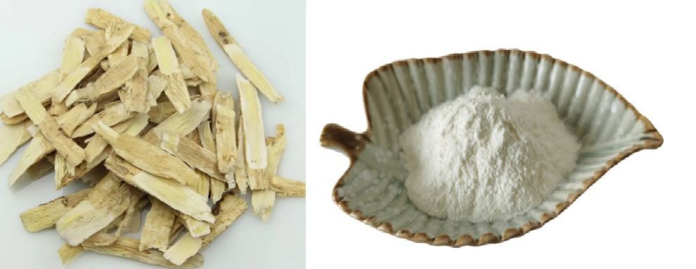 white willow extract