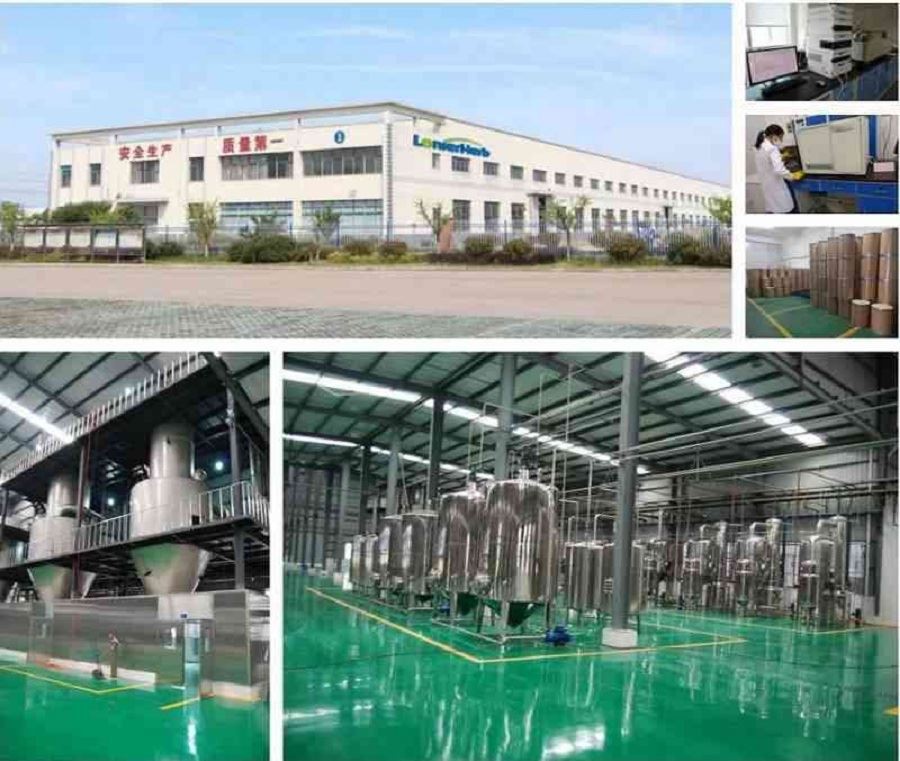 White willow extract Factory