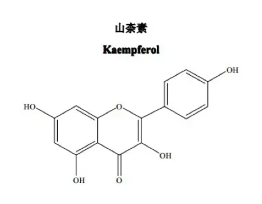 Kaempferol Powder