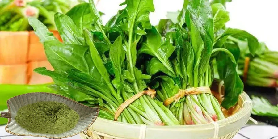 Spinach Juice Powder suppliers