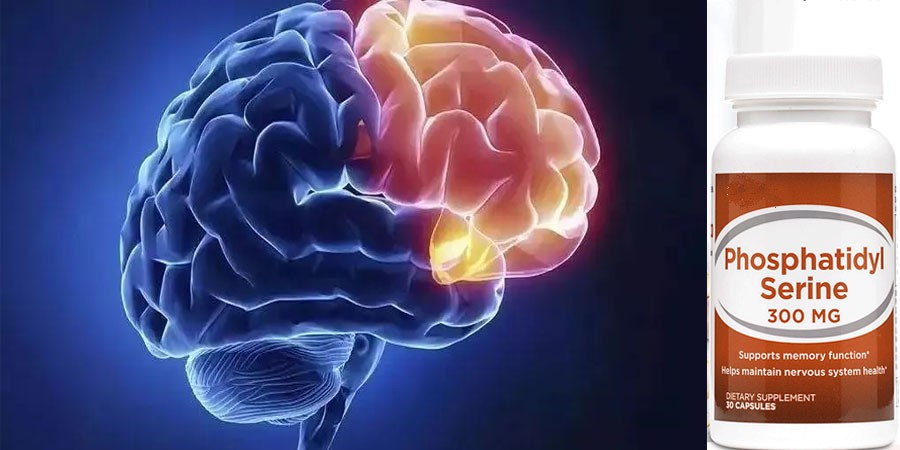 PS Phosphatidylserine Free Sample