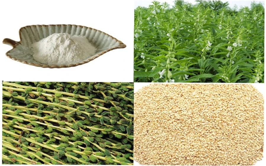 Factory Sesamin Extract