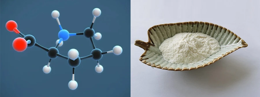 L-Proline Powder L-Proline Powder