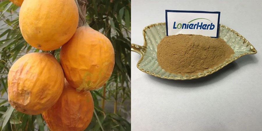 Trichosanthes Kirilowii Root Extract Trichosanthes Kirilowii Root Extract