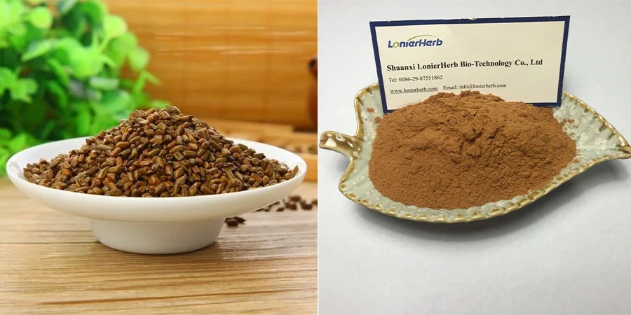 Cassia Seed Extract Powder Cassia Seed Extract Powder