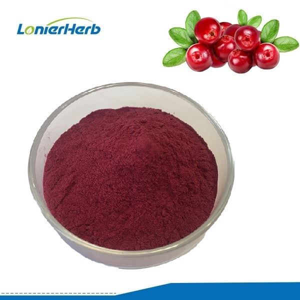 پودر میوه زغال اخته