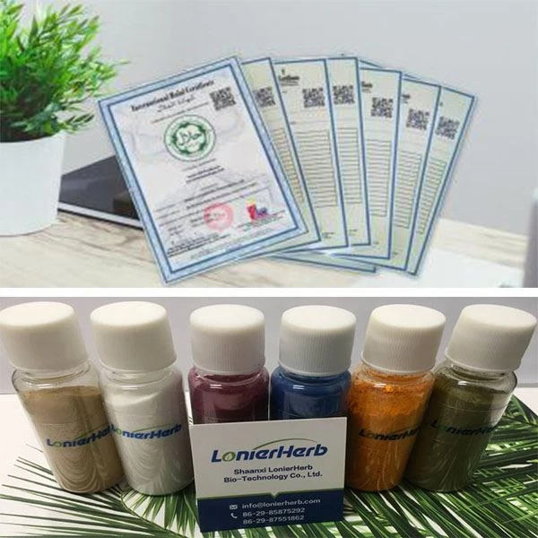 Lactase Enzyme Powder