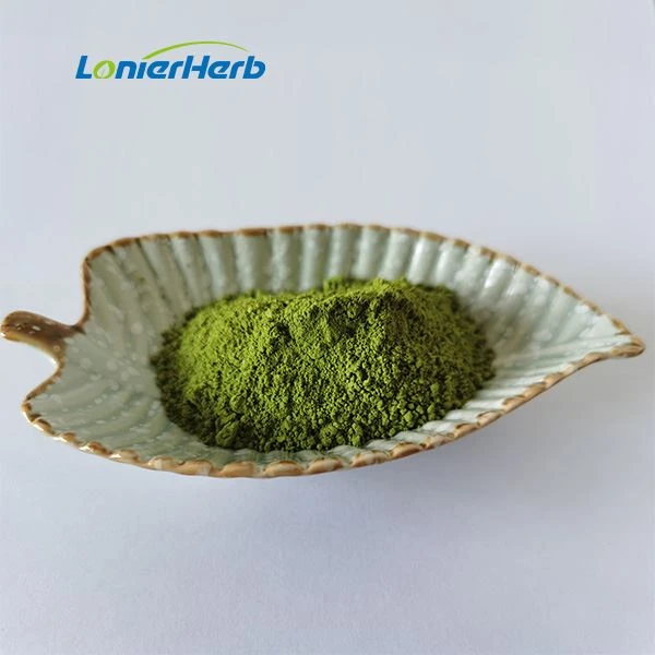 Spray Dried Broccoli Powder