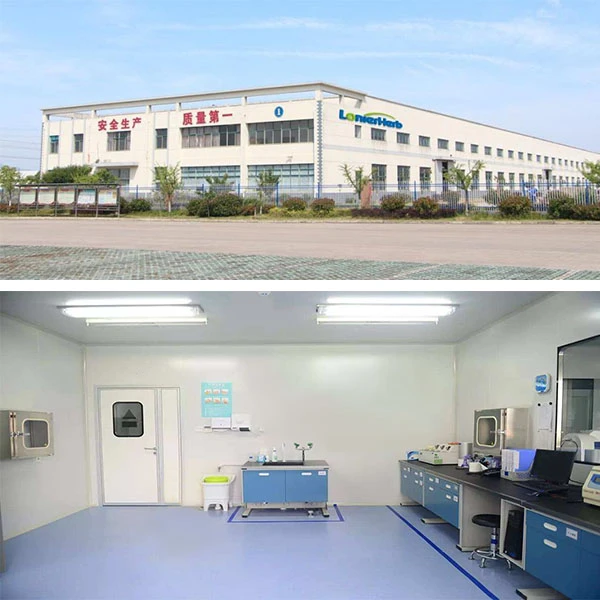Factory and lab Factory and lab